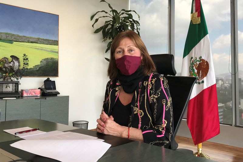 &copy; Reuters. FILE PHOTO: Mexican Economy Minister Tatiana Clouthier gestures during an interview with Reuters in Mexico City, Mexico, on January 11, 2021. REUTERS/Dave Graham