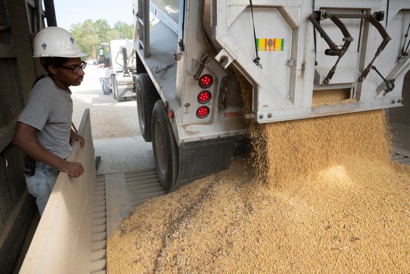 &copy; Reuters. Imagen de archivo de Isaac Moser observando la descarga de porotos de soja en la tolva de un montacargas durante la temporada de cosecha en las instalaciones de Deerfield AG Services en Deerfield, Ohio, Estados Unidos. 7 de octubre, 2021. REUTERS/Dane Rhy