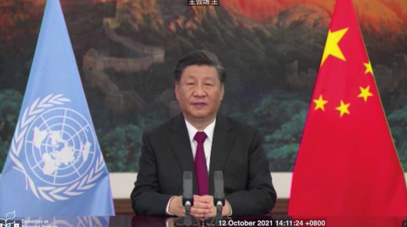 &copy; Reuters. El presidente de China, Xi Jinping, dando discurso en cumbre COP15 sobre biodiversidad, Kunming, China, 12 octubre 2021.
SECRETARÍA DEL CONVENIO SOBRE DIVERSIDAD BIOLÓGICA/Entregada vía REUTERS    