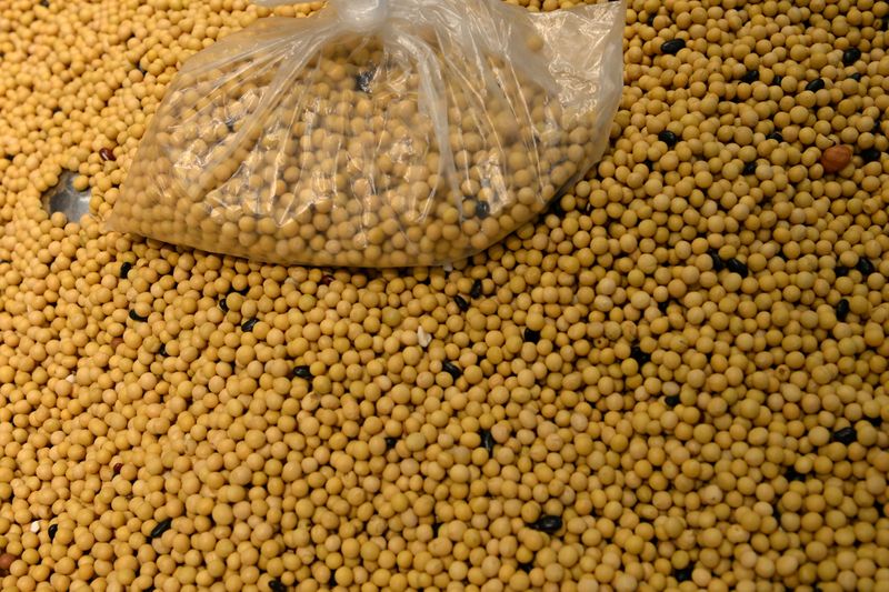 © Reuters. Soja em supermercado em Pequim, China
23/09/2019 REUTERS/Tingshu Wang