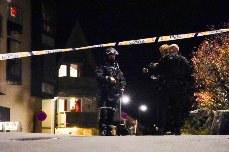 Norway bow-and-arrow attack likely linked to mental illness - police
