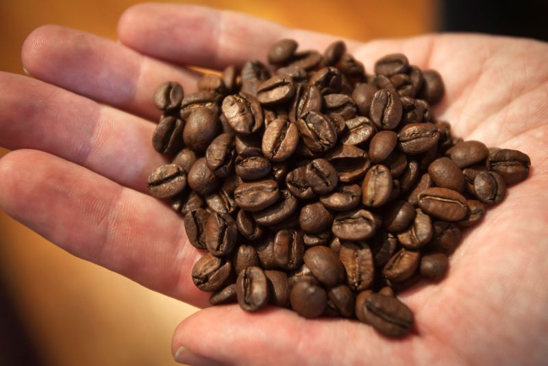 &copy; Reuters. FILE PHOTO: Dan Streetman, vice president of wholesale and coffee buyer for Irving Farm Coffee Roasters, holds a handful of La Bendicion coffee beans from Nicaragua at Irving Farm in the Manhattan borough of New York September 23, 2014. REUTERS/Carlo Alle