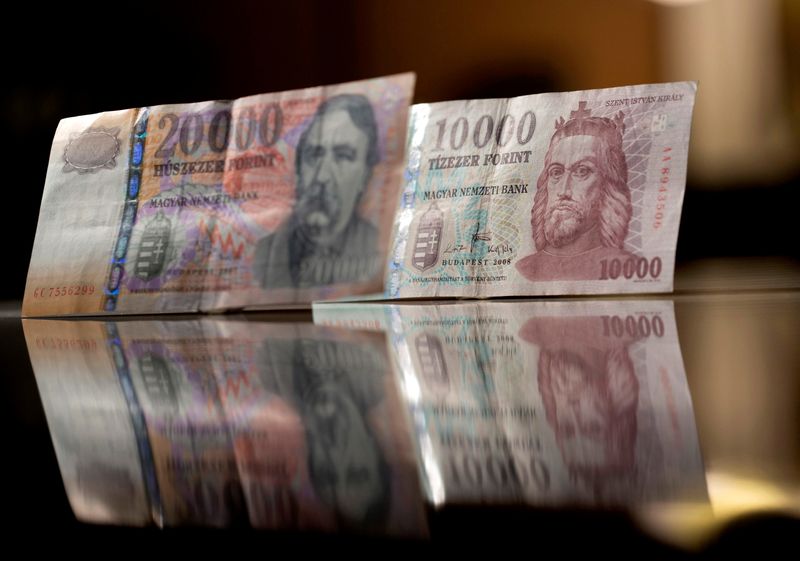 &copy; Reuters. FILE PHOTO: Hungarian forint notes are seen in this photo illustration taken in Budapest February 6, 2014. REUTERS/Bernadett Szabo/File Photo/File Photo