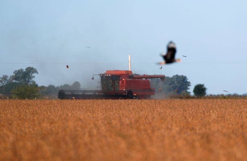 &copy; Reuters. Colheita de soja em fazenda em Chivilcoy, na Argentina.
8/04/2020
REUTERS/Agustin Marcarian