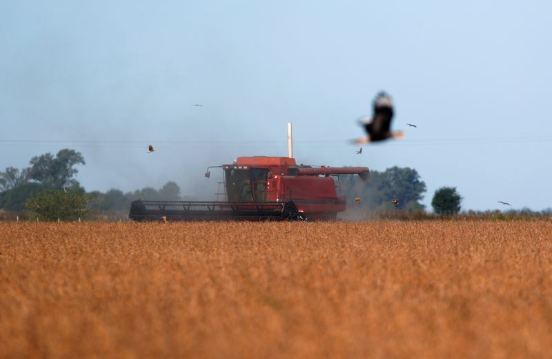 © Reuters. Colheita de soja em fazenda em Chivilcoy, na Argentina.
8/04/2020
REUTERS/Agustin Marcarian