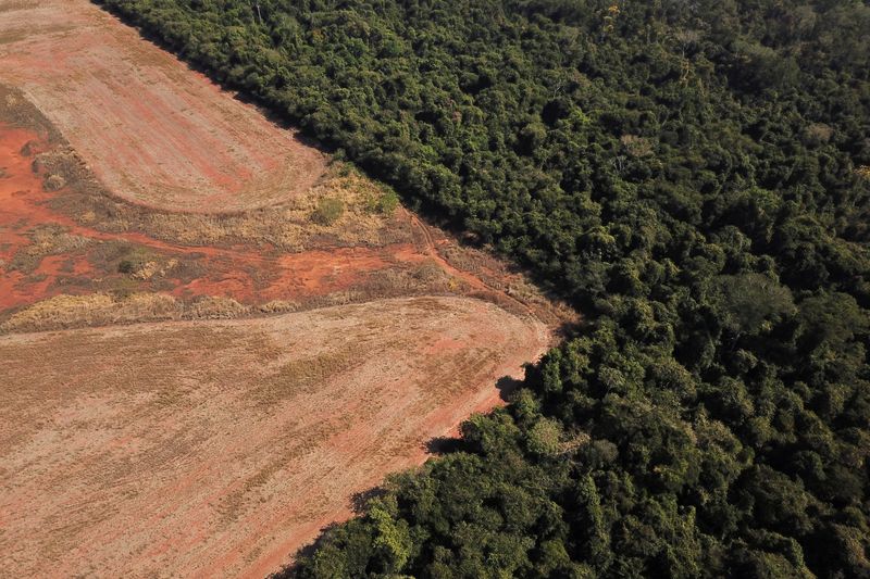 &copy; Reuters. Una vista aérea muestra la deforestación cerca de un bosque en la frontera entre la Amazonia y el Cerrado en Nova Xavantina, estado de Mato Grosso, Brasil. 28 de julio de 2021. Imagen tomada con un dron. REUTERS/Amanda Perobelli