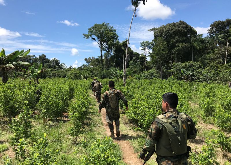 &copy; Reuters. Polícia peruana em plantação de coca em  Caballococha
02/11/2019
REUTERS/Gabriel Stargardter