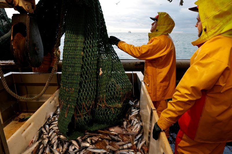 &copy; Reuters. صيادون يفرغون شبكة صيد على متن سفينة صيد فرنسية في بحر الشمال قبالة ساحل فرنسا يوم 7 ديسمبر كانون الأول 2020. تصوير: باسكال روسينيول - رويترز.