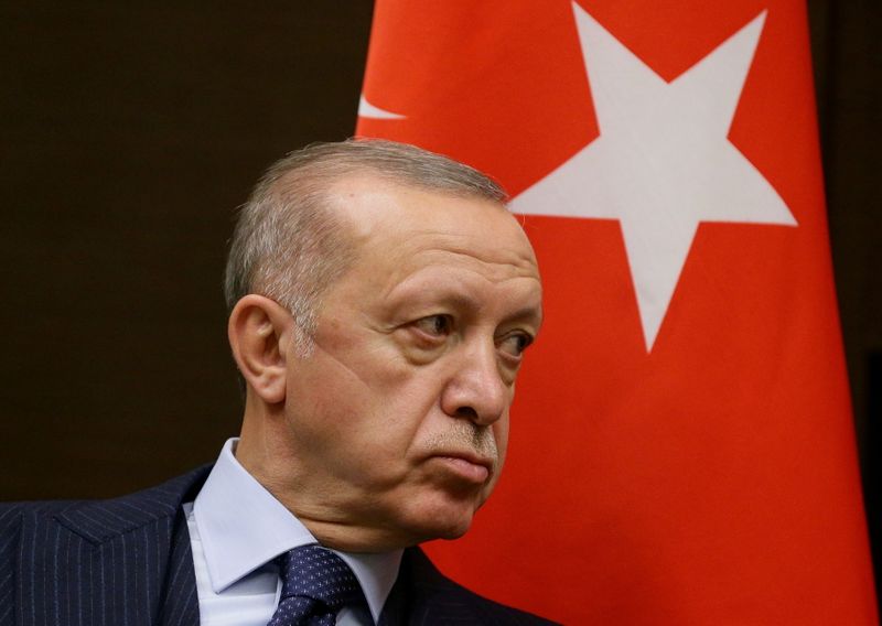 &copy; Reuters. トルコのエルドアン大統領が西側１０カ国の大使追放を外務省に指示したことを受け、同国野党や専門家は経済の苦境から目をそらさせるのが目的だと批判した。写真は、同大統領。２０２