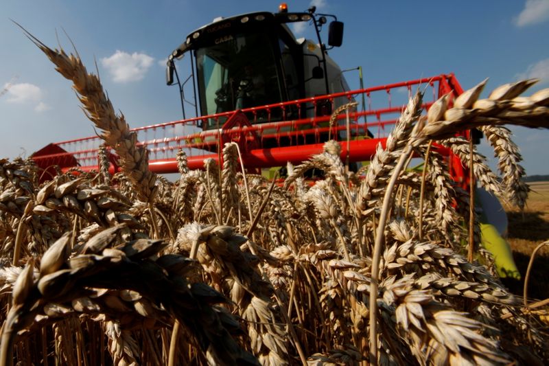 &copy; Reuters. FOTO DE ARCHIVO: Un agricultor francés sentado en su cosechadora mientras recoge trigo en Bugnicourt, en el norte de Francia.
