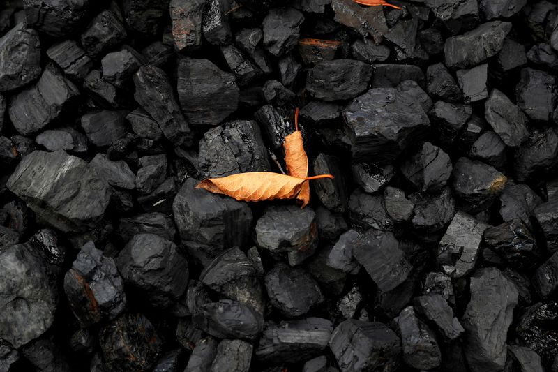 &copy; Reuters. FILE PHOTO: A leaf sits on top of a pile of coal in Youngstown, Ohio, U.S., September 30, 2020. REUTERS/Shannon Stapleton 