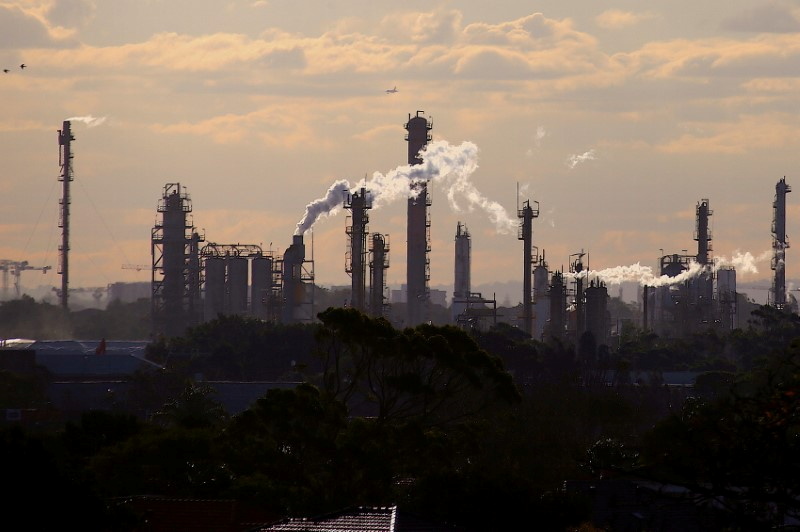 &copy; Reuters. FILE PHOTO: Birds and a plane are seen flying above emission from the chimneys of a chemical plant located near Port Botany in Sydney, Australia June 2, 2017. REUTERS/David Gray