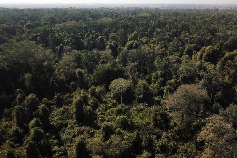 &copy; Reuters. Foto de archivo. Una vista aérea muestra un bosque degradado en la frontera entre la Amazonia y el Cerrado en Nova Xavantina, estado de Mato Grosso, Brasil 28 de julio, 2021. REUTERS/Amanda Perobelli
