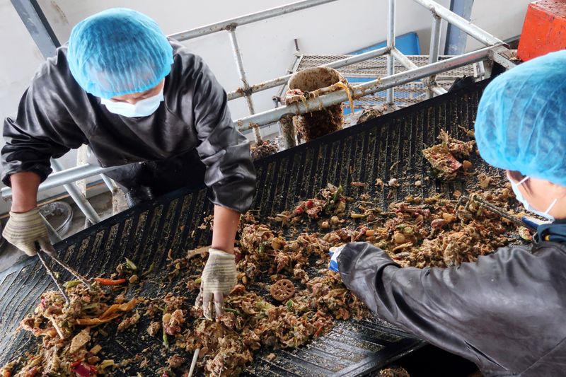 &copy; Reuters. FILE PHOTO: Workers sort kitchen waste to feed cockroaches at a waste processing facility of Shandong Qiaobin Agriculture Technology on the outskirts of Jinan, Shandong province, China October 17, 2018. REUTERS/Thomas Suen