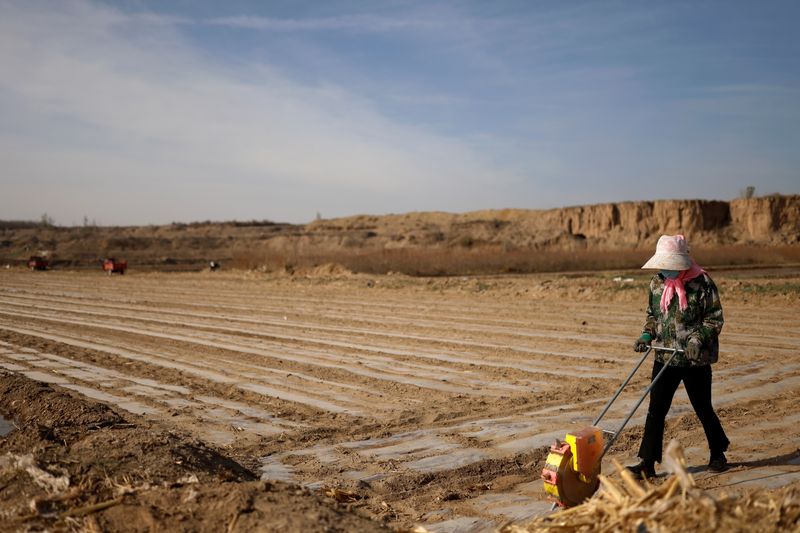 &copy; Reuters. Agricultor planta milho perto da fronteira com o deserto de Gobi
14/04/2021
REUTERS/Carlos Garcia Rawlins