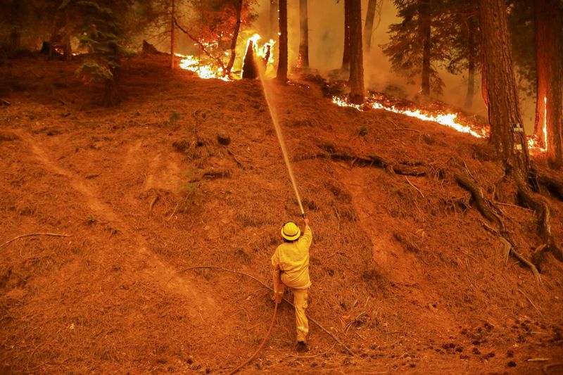 © Reuters. FILE PHOTO: A firefighter continues to hold the line of the Dixie Fire near Taylorsville, California, U.S., August 10, 2021. REUTERS/David Swanson/File Photo