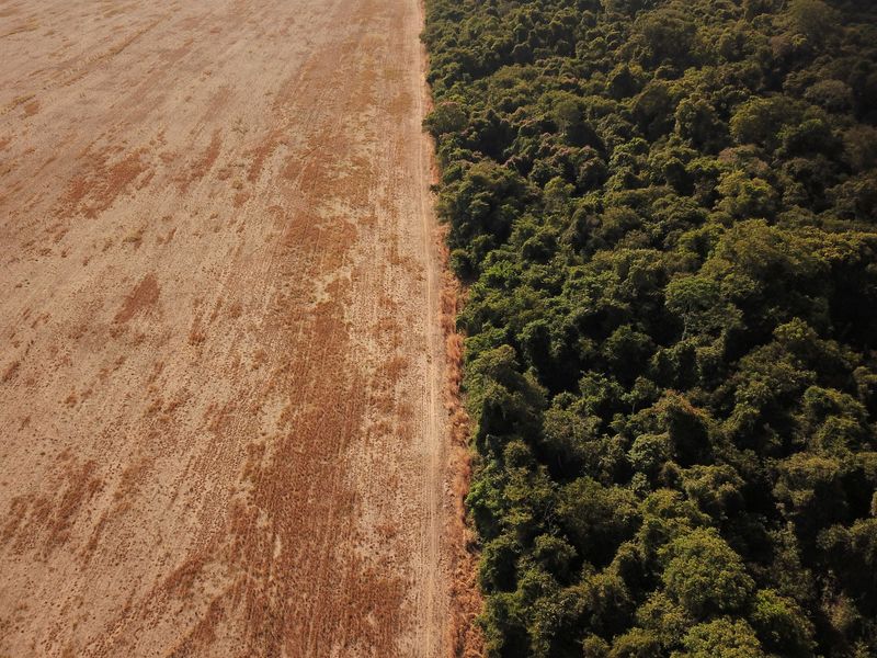 &copy; Reuters. ブラジルのレイテ環境相は１日、地球温暖化対策を話し合う第２６回国連気候変動枠組み条約締約国会議（ＣＯＰ２６）開幕に当たり、２０３年までに温室効果ガスの排出量を０５年比で５