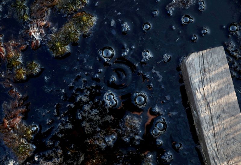 &copy; Reuters. FILE PHOTO: Methane bubbles are seen in an area of marshland at a research post at Stordalen Mire near Abisko, Sweden, August 1, 2019.REUTERS/Hannah McKay/File Photo