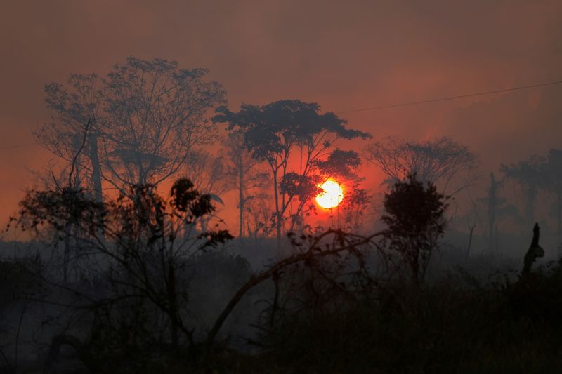 © Reuters. Plus de 100 dirigeants mondiaux ont promis lundi soir de stopper la déforestation, de restaurer les forêts et de mettre fin à la dégradation des terres d'ici la fin de la décennie. /Photo prise le 6 septembre 2021/REUTERS/Bruno Kelly