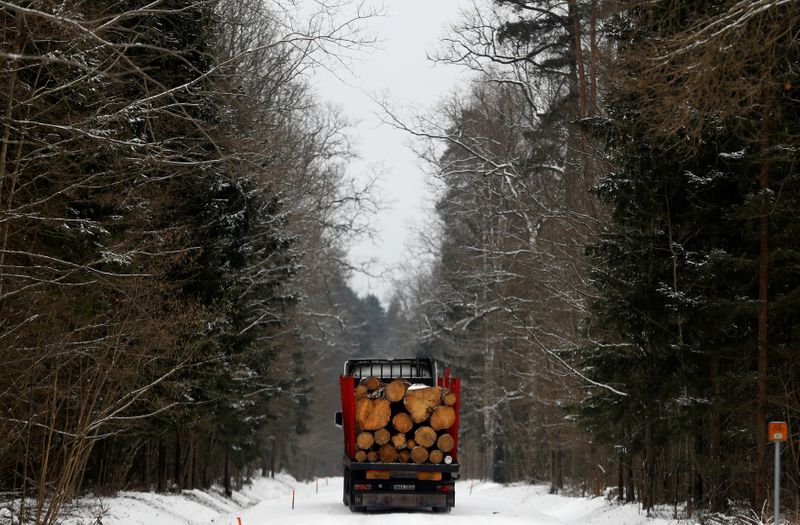 © Reuters. FOTO DE ARCHIVO: Un camión cargado de troncos en el corazón de uno de los últimos bosques primigéneos de Europa, el bosque de Bialowieza, en Polonia, el 15 de febrero de 2018. REUTERS/Kacper Pempel