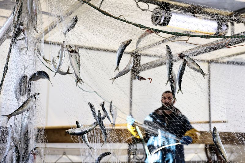 &copy; Reuters. A fisherman empties a fishing net aboard the trawler "Adele Camille" in the port of Boulogne-sur-Mer, France, November 2, 2021. REUTERS/Sarah Meyssonnier