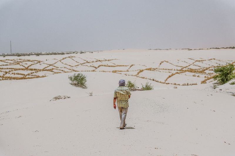 &copy; Reuters. Un habitante camina hacia las barreras fijadas en las dunas para frenar la progresión del desierto en el norte de Malí, 26 mayo 2021.
Birom Seck-ICRC/Entregada vía REUTERS   