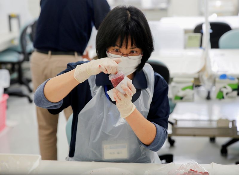&copy; Reuters. FOTO DE ARCHIVO. Un técnico de laboratorio coloca carne picada de ganado criado en Fukushima en un recipiente de plástico mientras la prepara para la prueba de cesio en el Centro de Tecnología Agrícola de Fukushima en Koriyama, prefectura de Fukushima