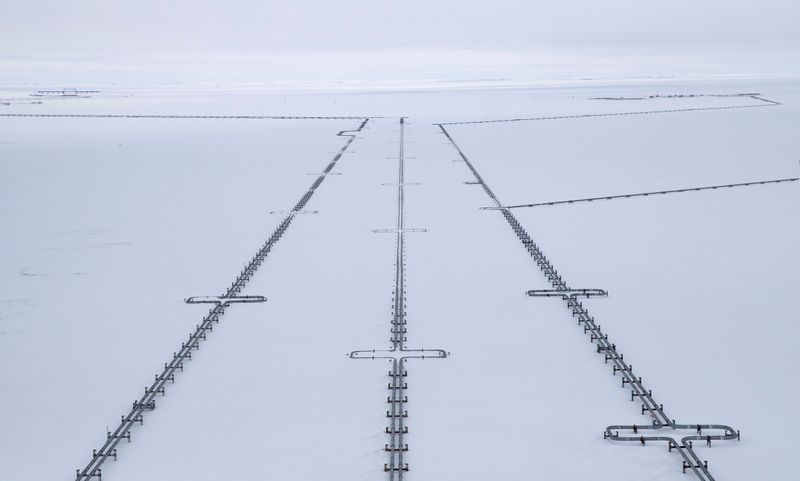 &copy; Reuters. FILE PHOTO: A view shows pipelines near a gas processing facility, operated by Gazprom company, at Bovanenkovo gas field on the Arctic Yamal peninsula, Russia May 21, 2019. Picture taken May 21, 2019. REUTERS/Maxim Shemetov