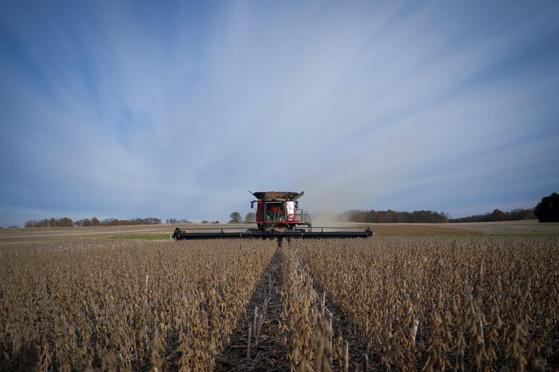 &copy; Reuters. Colheita de soja em Roachdale, Indiana (EUA)
10/09/2021
REUTERS/Bryan Woolston