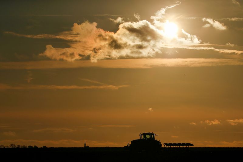 &copy; Reuters. Agricultor em campo de trigo em Havrincourt, na França. 
9/11/2019 
REUTERS/Pascal Rossignol