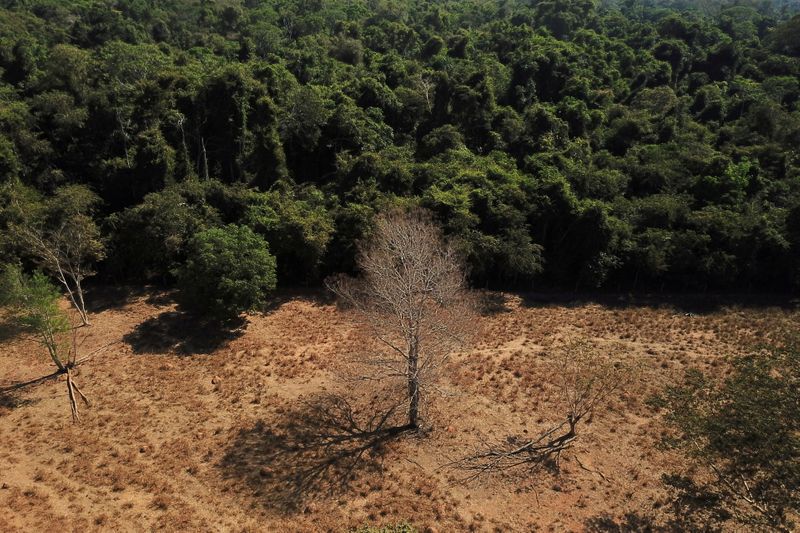 &copy; Reuters. Área desmatada da floresta amazônica no Mato Grosso
28/07/2021
REUTERS/Amanda Perobelli