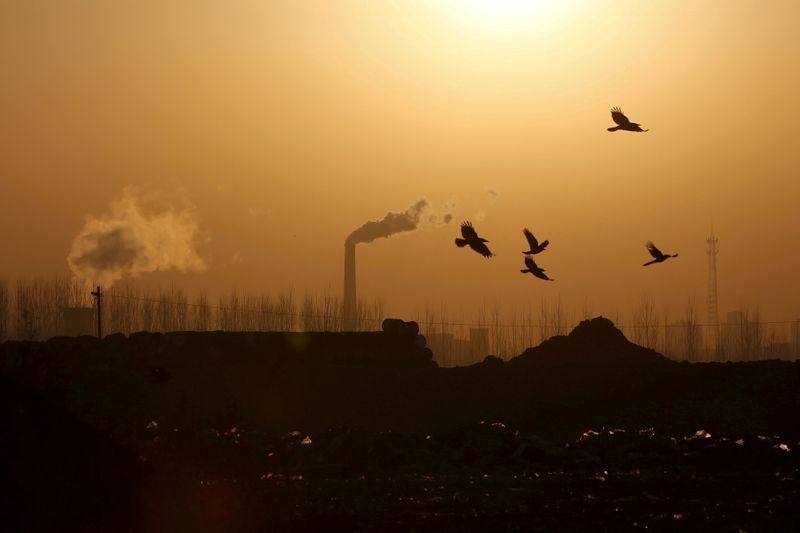 &copy; Reuters. FILE PHOTO: Birds fly over a closed steel factory where chimneys of another working factory are seen in the background, in Tangshan, Hebei province, China, February 27, 2016.  REUTERS/Kim Kyung-Hoon/File Photo