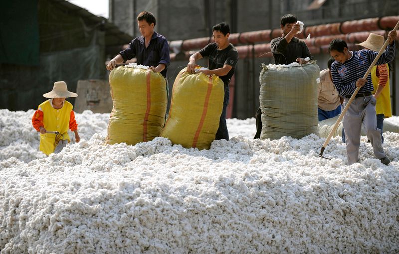 &copy; Reuters. Trabalhadores do transporte de algodão na China
5/10/2009
REUTERS/Jianan Yu