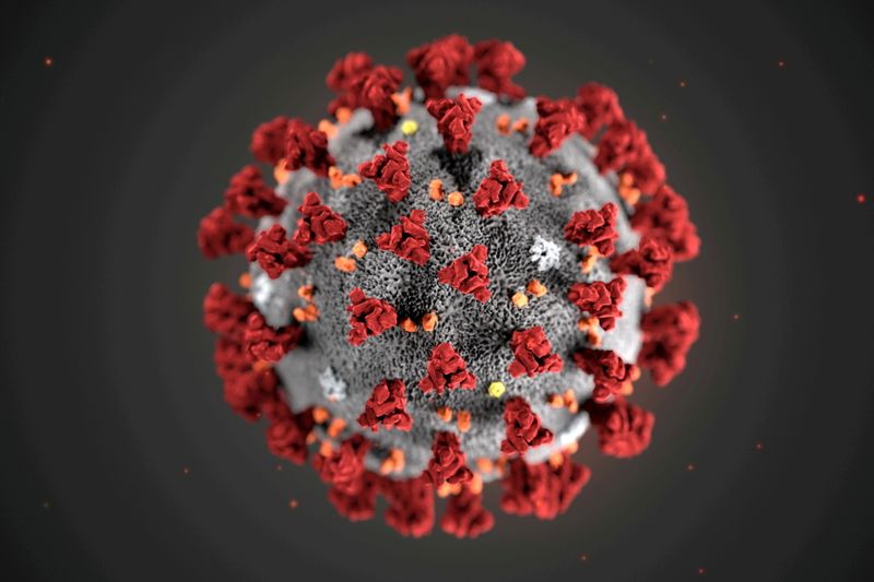 &copy; Reuters. FILE PHOTO: The ultrastructural morphology exhibited by the 2019 Novel Coronavirus (2019-nCoV), which was identified as the cause of an outbreak of respiratory illness first detected in Wuhan, China, is seen in an illustration released by the Centers for 