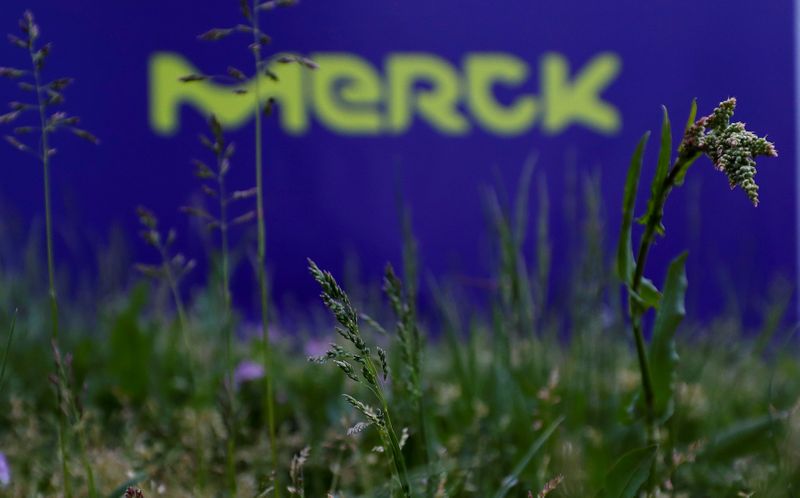 &copy; Reuters. FILE PHOTO: The logo of German pharmaceuticals company Merck is seen at the company's headquarters in Darmstadt, Germany, May 16, 2016.  REUTERS/Kai Pfaffenbach