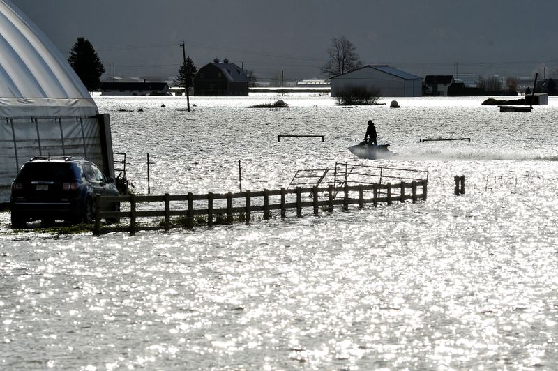 &copy; Reuters. １１月１７日、カナダ西部ブリティッシュコロンビア州は、集中豪雨で発生した洪水と土砂崩れによる被害が拡大する中、非常事態を宣言した。写真は１６日、洪水被害を受けた農場を水上