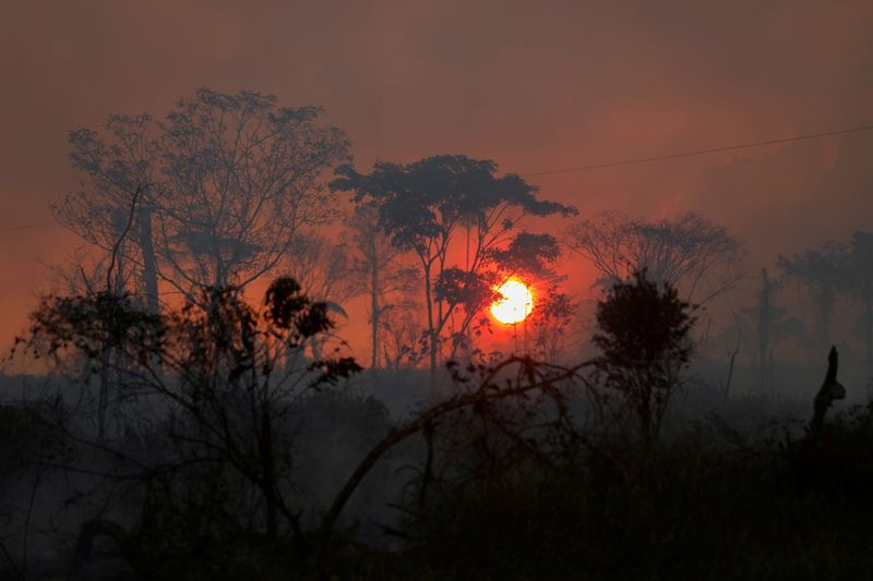 &copy; Reuters. La déforestation de la forêt amazonienne au Brésil a augmenté de 22% en un an, le plus haut niveau depuis 2006, selon le rapport annuel du gouvernement publié jeudi. /Photo prise le 6 septembre 2021/REUTERS/Bruno Kelly