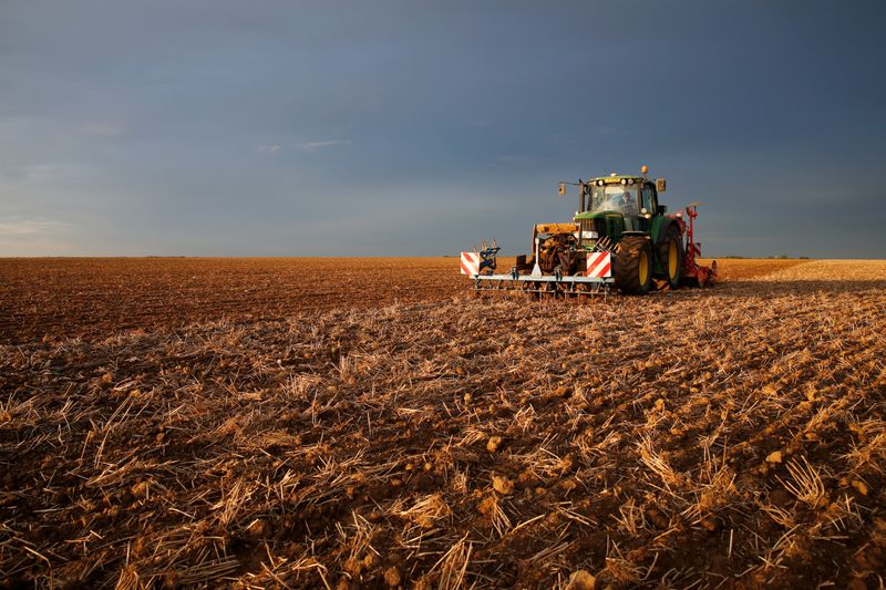 &copy; Reuters. A French farmer sows winter barley during sunset in Tilloy-lez-Cambrai, France, October 3, 2019. REUTERS/Pascal Rossignol