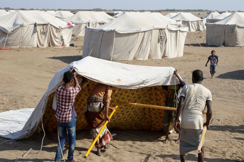&copy; Reuters. نازحون يمنيون ينصبون خيمة في محافظة الحديدة يوم الأحد. تصوير فواز سلمان- رويترز.