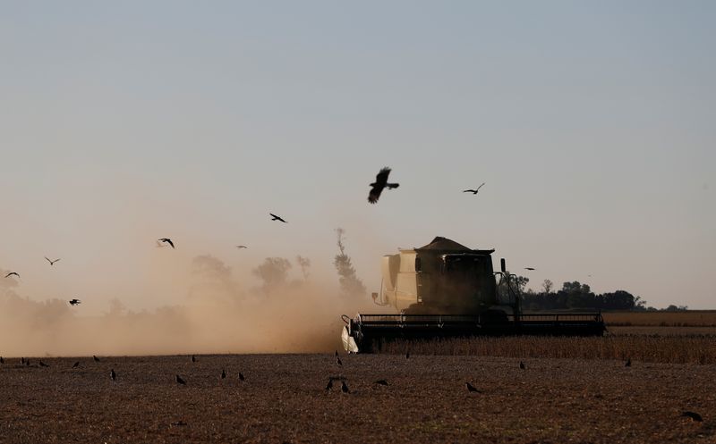 &copy; Reuters. Colheita de soja em Pergamino, Argentina 
27/04/2021
REUTERS/Agustin Marcarian