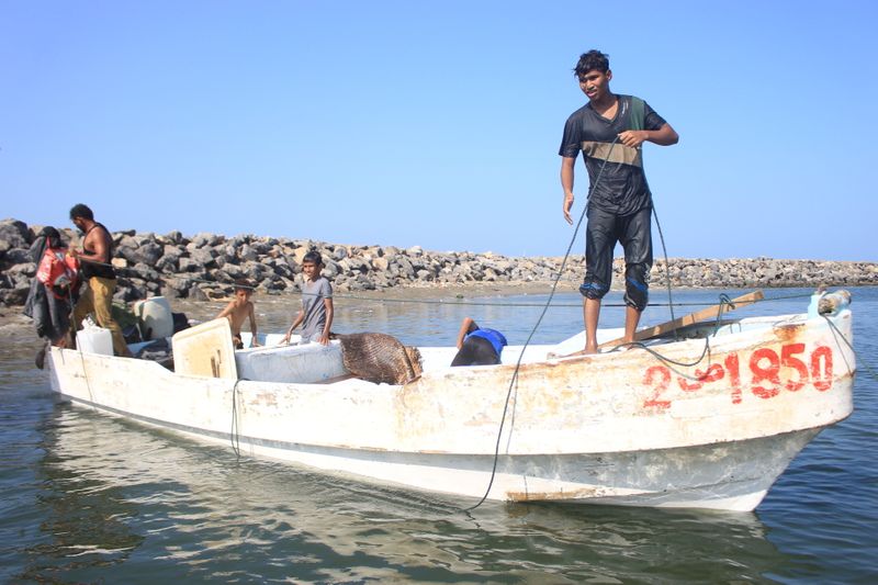 &copy; Reuters. Unos pescadores atracan su bote en el puerto de Al Hudayda, Yemen, el 21 de noviembre de 2021. REUTERS/Eissa al-Ragehi