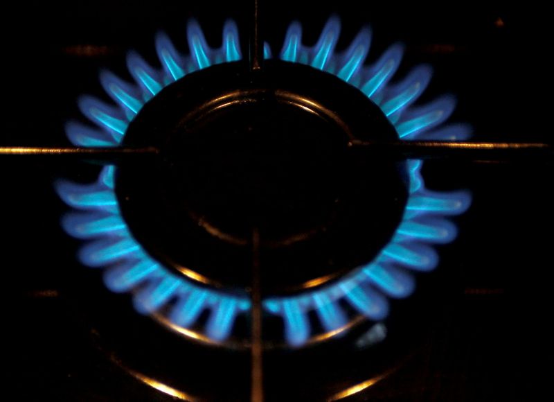 &copy; Reuters. FILE PHOTO: A gas burner is pictured on a cooker in a private home in Bordeaux, southwestern France, December 13, 2012. REUTERS/Regis Duvignau/File Photo