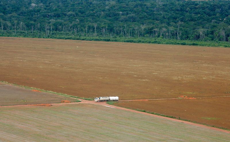 &copy; Reuters. Fronteira entre área de cultivo de soja e a floresta amazônica em Mato Grosso 
25/02/2008
REUTERS/Paulo Whitaker