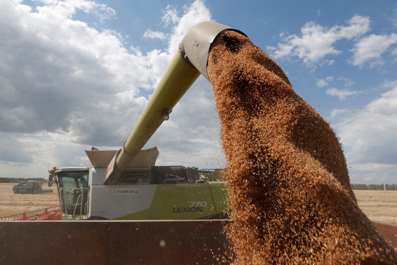 &copy; Reuters. Imagen de archivo de la cosecha del trigo cerca de la localidad de Hrebeni, en la región de Kiev, Ucrania. 17 julio 2020. REUTERS/Valentyn Ogirenko