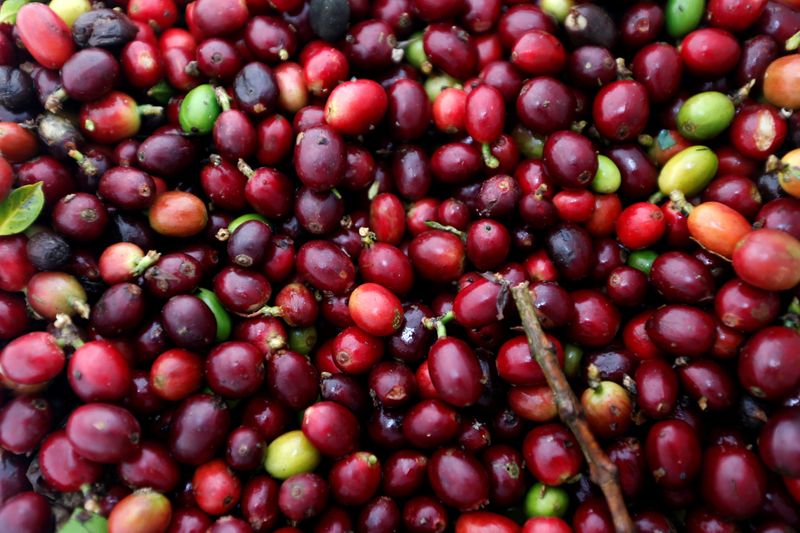 Novos lockdowns por ômicron podem ameaçar indústria do café, diz federação colombiana