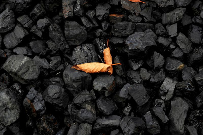 &copy; Reuters. FILE PHOTO: A leaf sits on top of a pile of coal in Youngstown, Ohio, U.S., September 30, 2020. REUTERS/Shannon Stapleton