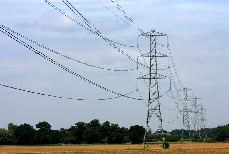&copy; Reuters. FILE PHOTO: Electricity pylons are pictured near Cobham in Surrey, southern England, July 25, 2008. REUTERS/Luke MacGregor
