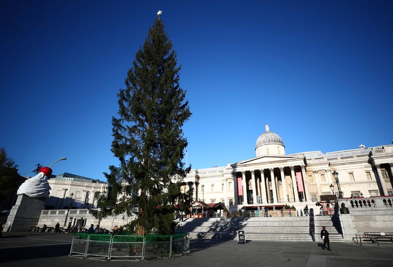 &copy; Reuters. A view shows the Trafalgar Square Christmas tree, a gift from Norway, in Trafalgar Square, London, Britain, December 2, 2021. REUTERS/Hannah McKay