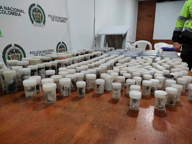 &copy; Reuters. Foto de recipientes de plástico con cucarachas, tarantulas y escorpiones que iban a ser traficados a Europa en el Aeropuerto de Bogota. 
Dic 1, 2021. 
Cortesía de la Secretaría de Ambiente de Bogota/Handout via REUTERS 
ATENCIÓN EDITORES, ESTA IMAGEN 