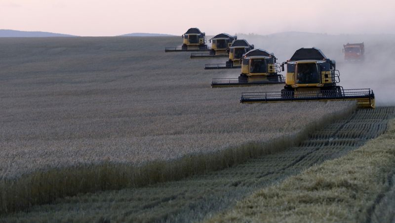 © Reuters. Campo de trigo perto da aldeia de Talniki, a sudoeste de Krasnoyarsk, Rússia
27/08/2015
REUTERS/Ilya Naymushin